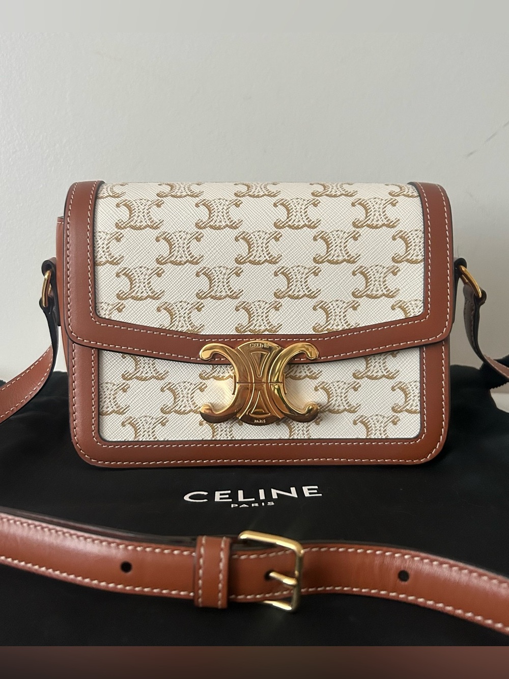 CELINE Teen Triomphe Shoulder Bag Calfskin & Coated Canvas White/Brown